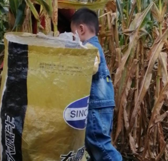 多媒体互动游戏