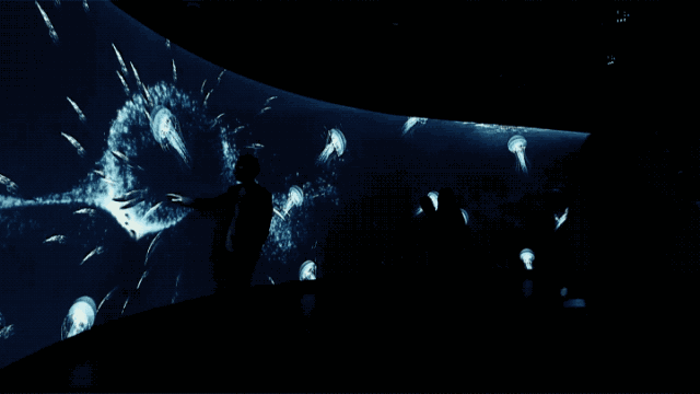 墨西哥海湾溪流体验