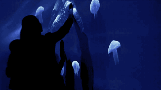 沉浸式投影互动体验