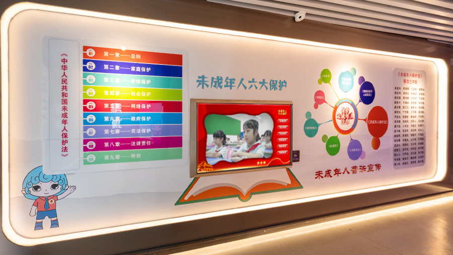 六大保护播放系统